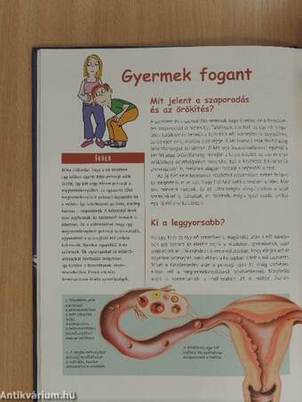 A szerelmeskedés könyve tinédzsereknek