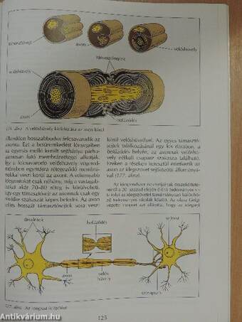 Biológia II.