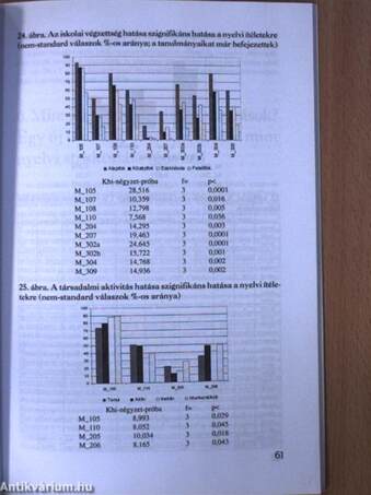 A kárpátaljai magyar nyelvhasználat társadalmi rétegződése