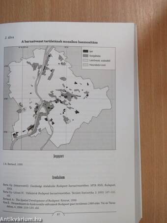 A budapesti barnaövezet megújulási esélyei