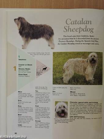 The Dog Encyclopaedia