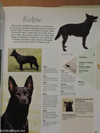 The Dog Encyclopaedia