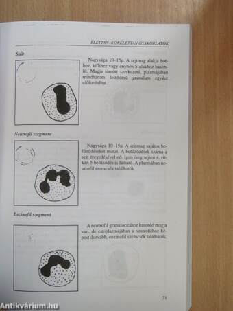 Élettan-kórélettan gyakorlatok