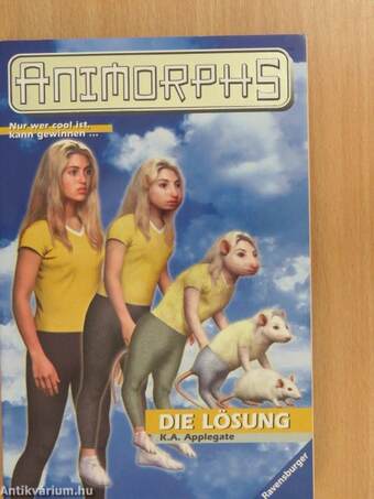 Die Lösung