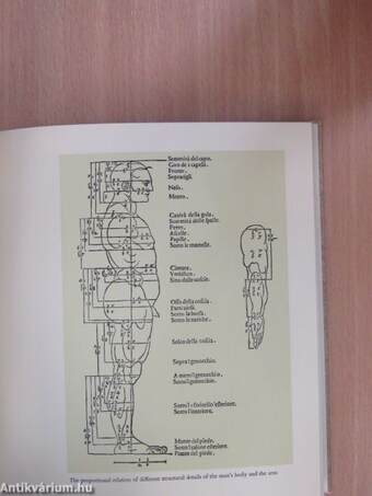 Albrecht Dürer della simmetria dei corpi humani