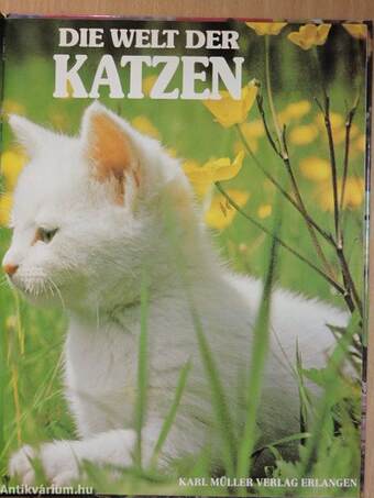 Die Welt der Katzen