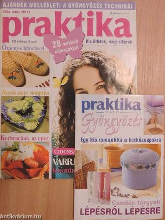 Praktika 2004. május