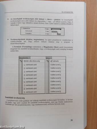 Bevezetés a Microsoft Office Project 2003 használatába