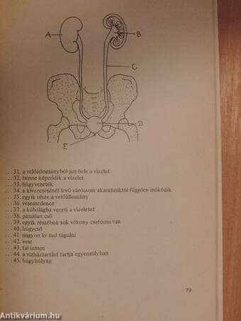 Biológiai feladatlapok III.