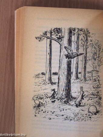 The House at Pooh Corner