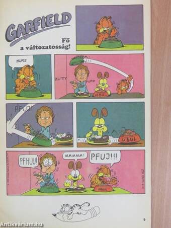 Garfield 1991/6.