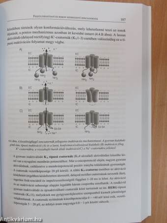 Neurokémia