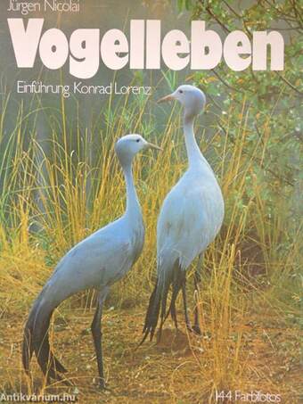 Vogelleben