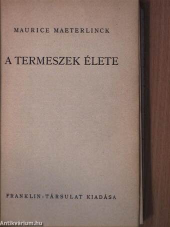 A termeszek élete