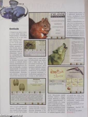 PC World 1999. január-december