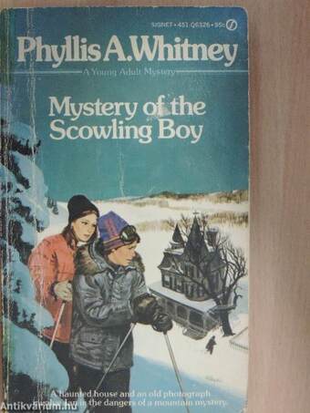 Mystery of the Scowling Boy