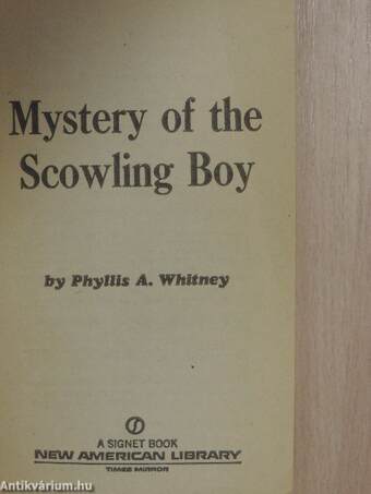 Mystery of the Scowling Boy