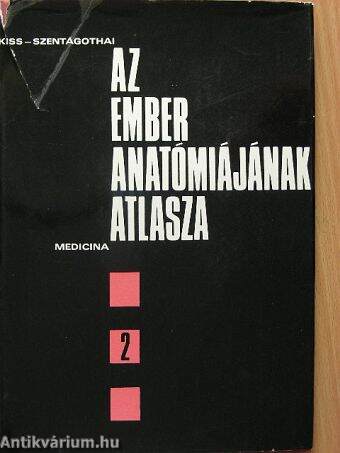 Az ember anatómiájának atlasza II. (töredék)