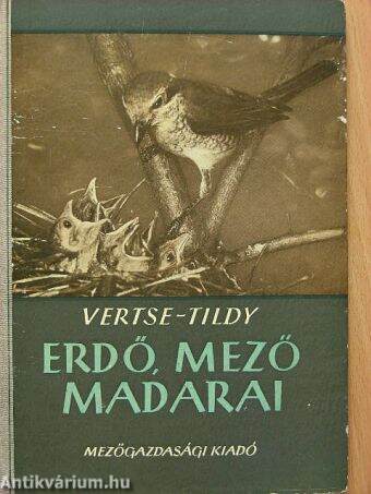 Erdő-mező madarai