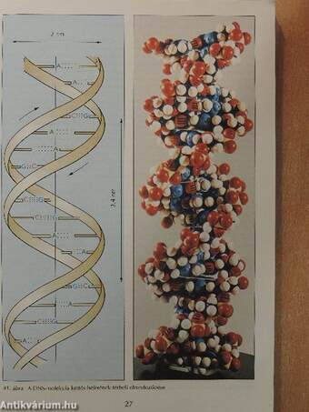 Biológia II.