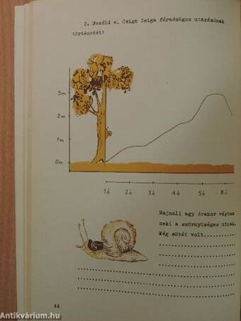 Természetismeret 4.