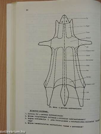 Szűcsipari anyagismeret I.