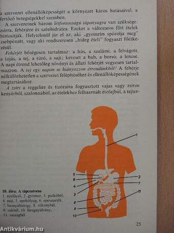 Egészségügyi és munkavédelmi ismeretek I-II.