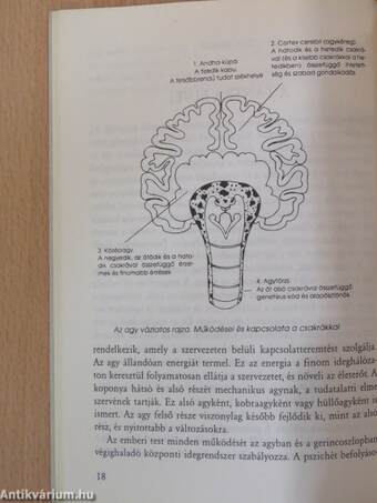 Tudatos légzés, tudatos elme