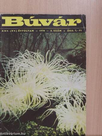 Búvár 1970/5.