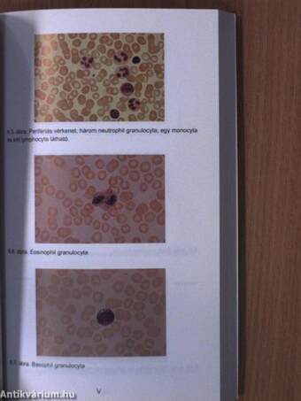 Gyakorlati laboratóriumi medicina