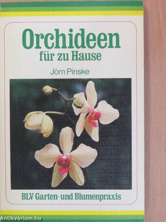 Orchideen für zu Hause