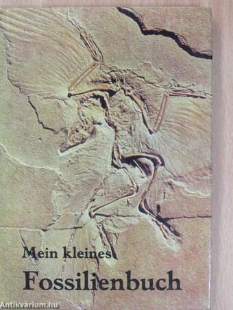 Mein kleines Fossilienbuch