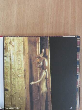 The Pocket Book of Tutankhamun