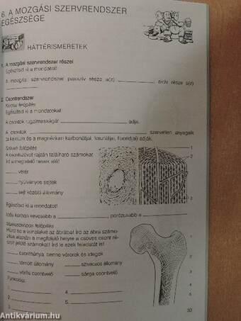 Biológia középszintű érettségi - B tételek