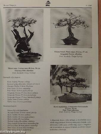 Bonsai Magazin 2001. április