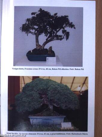 Bonsai Magazin 2001. április