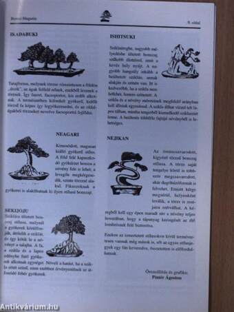 Bonsai Magazin 2001. április