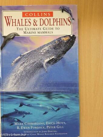 Whales & Dolphins