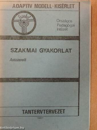 Szakmai gyakorlat