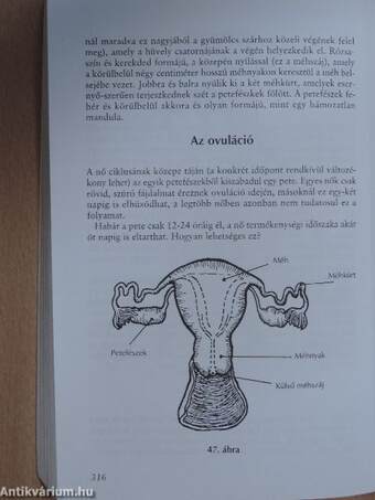 Taoista szerelmi titkok