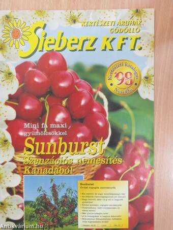 Sieberz Kft. kertészeti áruház 1998. Nyár/ősz
