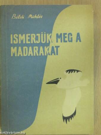 Ismerjük meg a madarakat