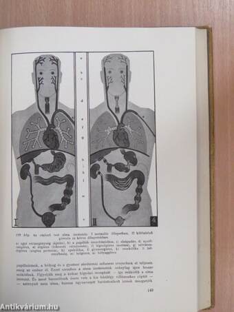 Az emberi test csodái I. (töredék)