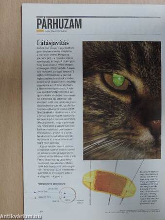 National Geographic Magyarország 2013. április