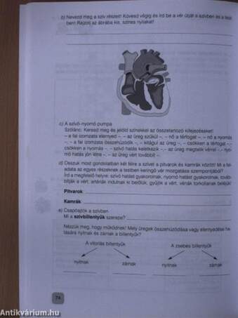 Biológia 11. munkafüzet