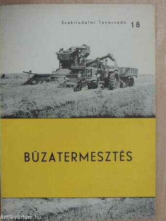 Búzatermesztés