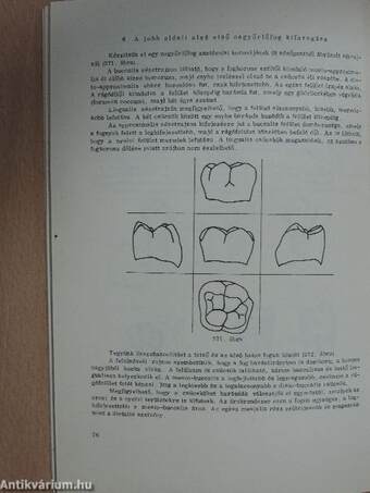 Fogműves laboratóriumi foglalkozás