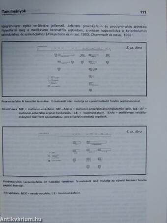 Psychiatria Hungarica 1989/2.