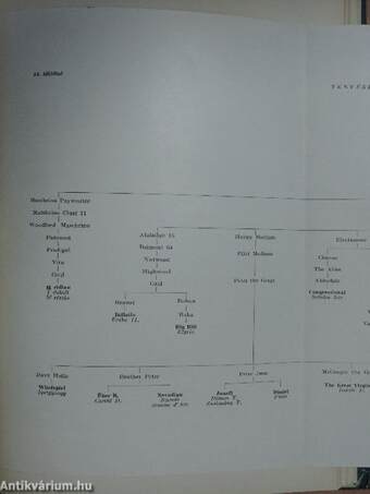 Az állattenyésztés törzskönyvezési évkönyvei 1956/57