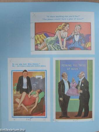 The Penguin Book of Naughty Postcards